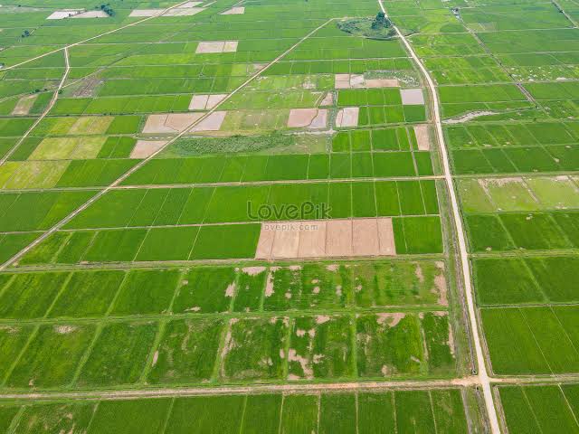 ভূমি অফিস