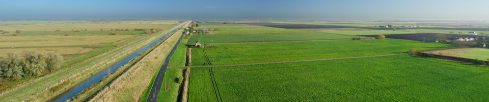 ফটো গ্যালারি