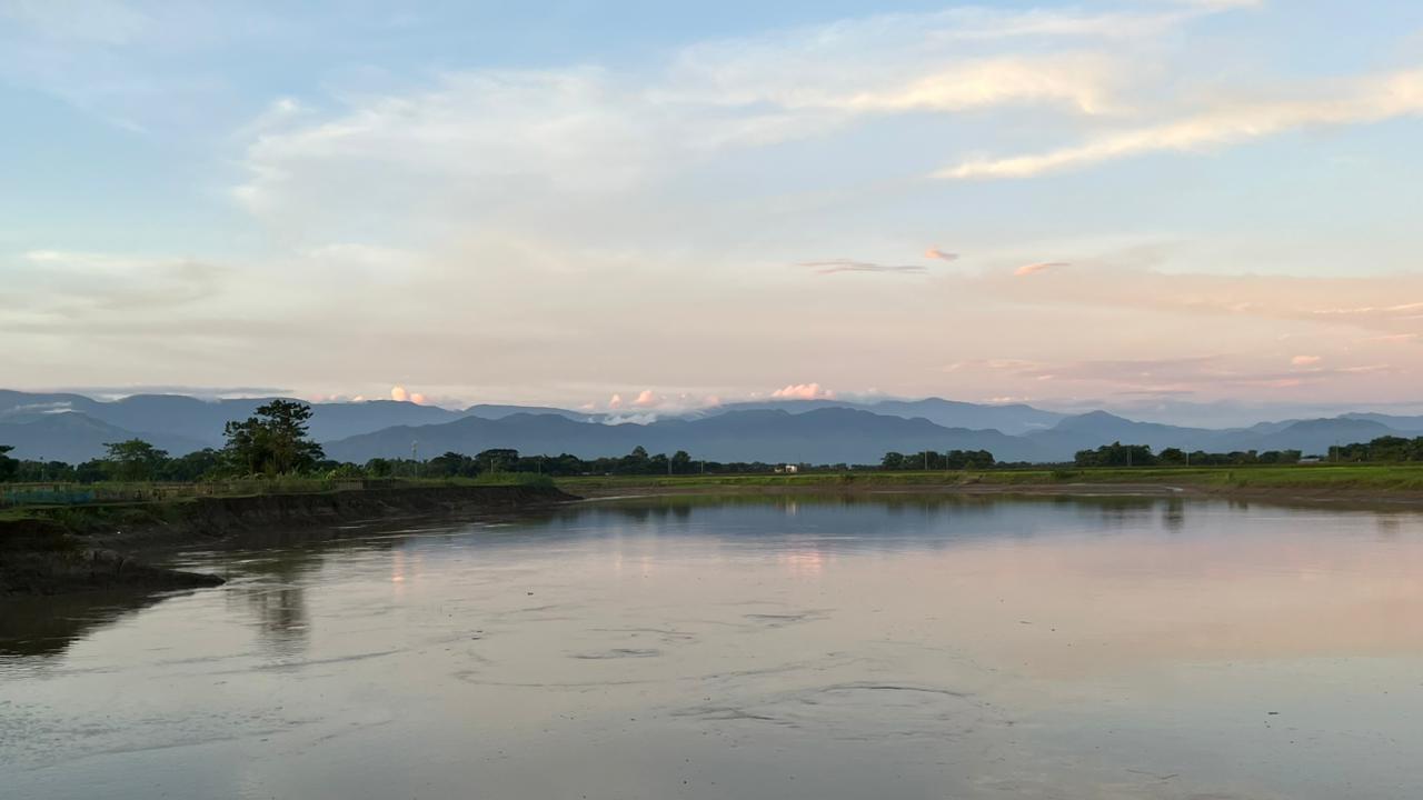 ব্যানার২