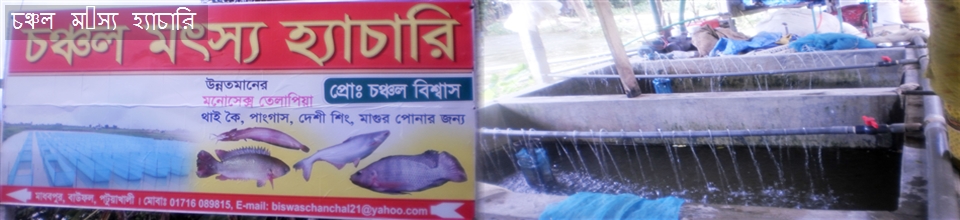 আদাবাড়িয়া ইউনিয়ন পরিষদ ভবন