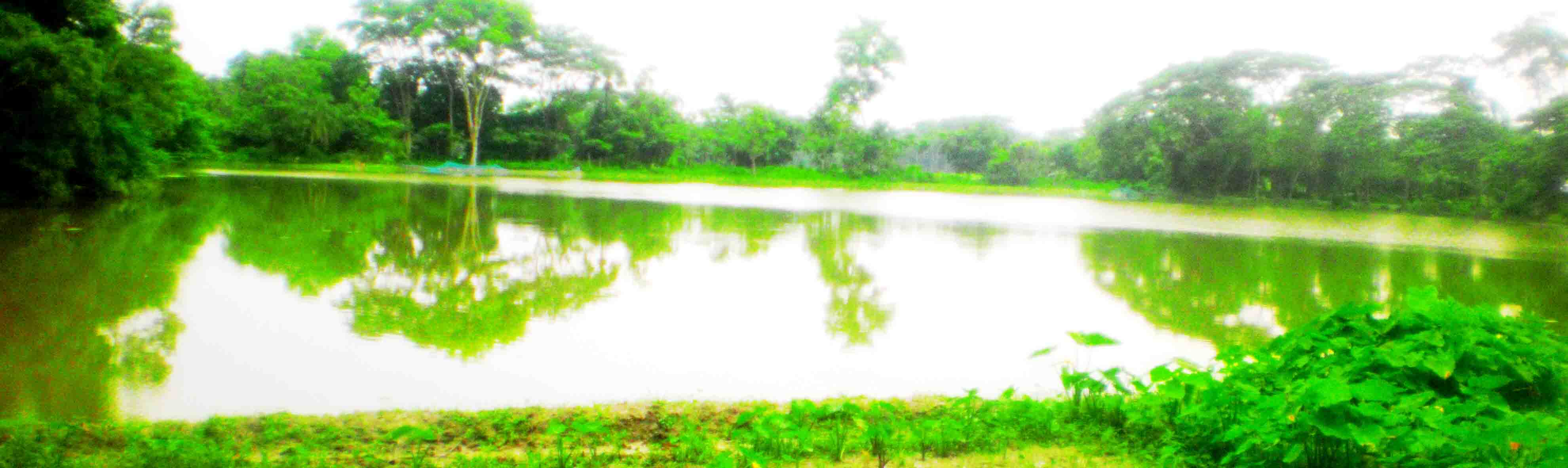 আদাবাড়িয়া মিঠা দিঘী