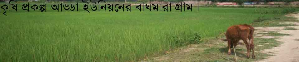 কৃষি ও গোবাদি পশু পালন