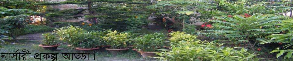 নার্সারী প্রকল্প
