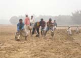 প্রকৌশল
