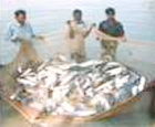 বিবিধ
