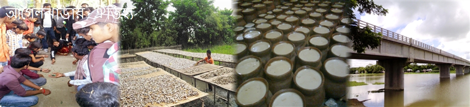 আগৈলঝাড়ার ঐতিহ্য