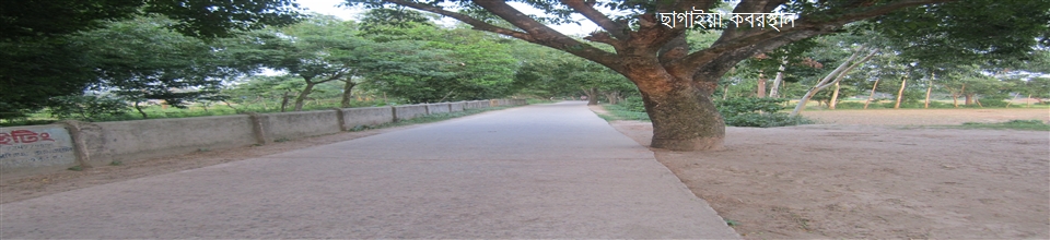 আগানগর ইউনিয়নে আপনাকে স্বাগতম