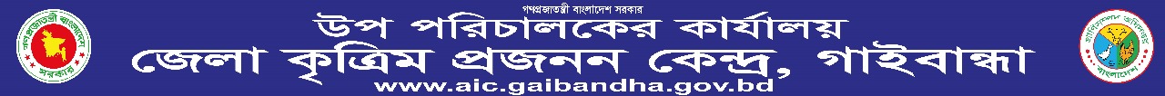 উপ পরিচালক