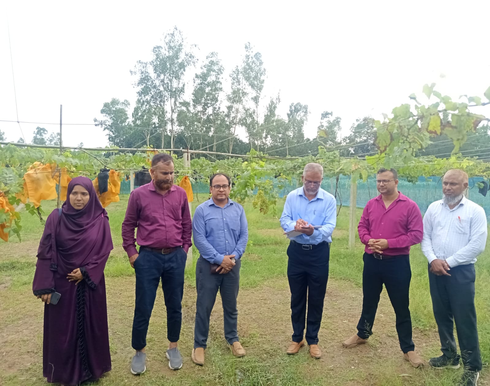 আঙ্গুর ফল বাগান পরিদর্শন