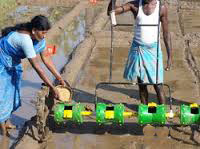 ড্রাম সিডার