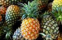 আনারস