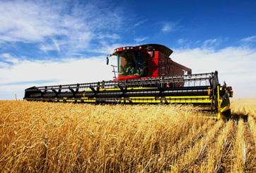 সমসাময়িক কৃষি প্রযুক্তি