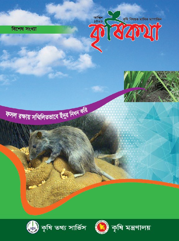 Ebook Cover