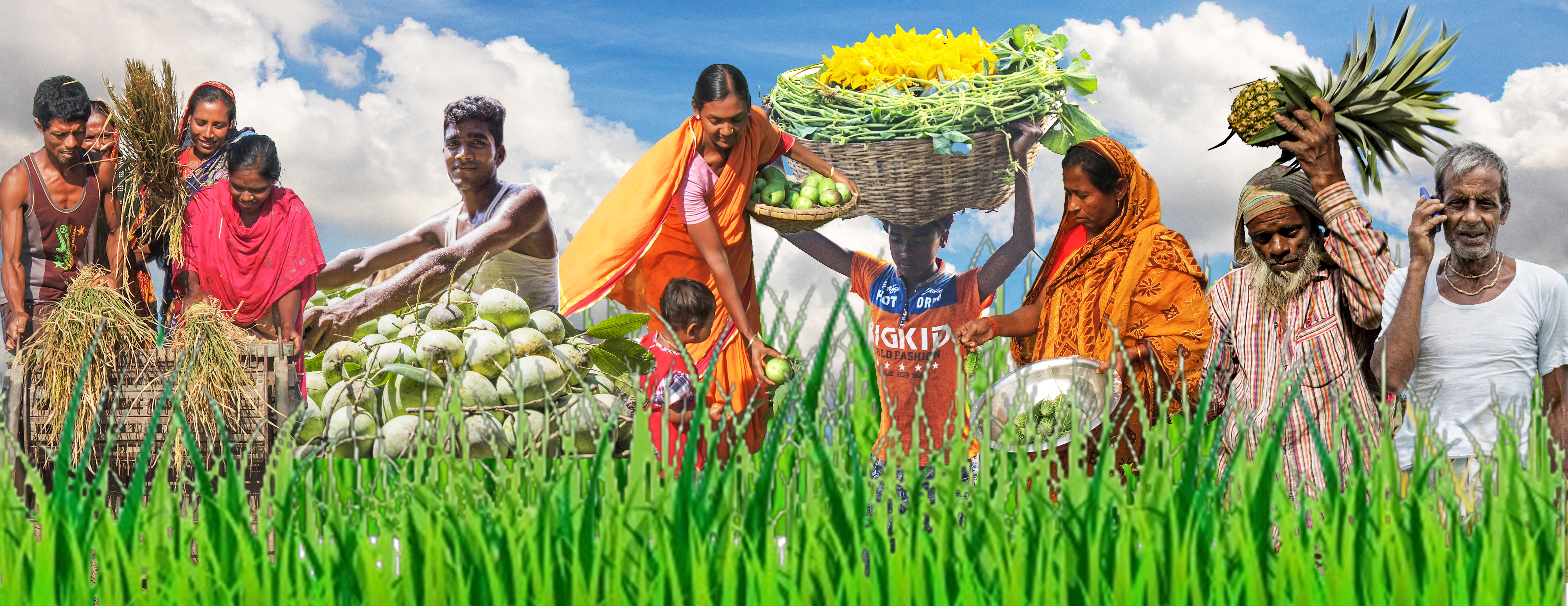 সবজি বাজার