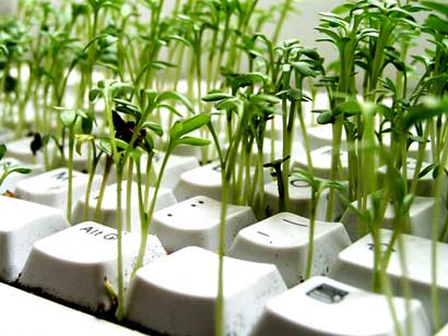 কৃষি তথ্য