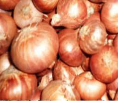 পেঁয়াজ