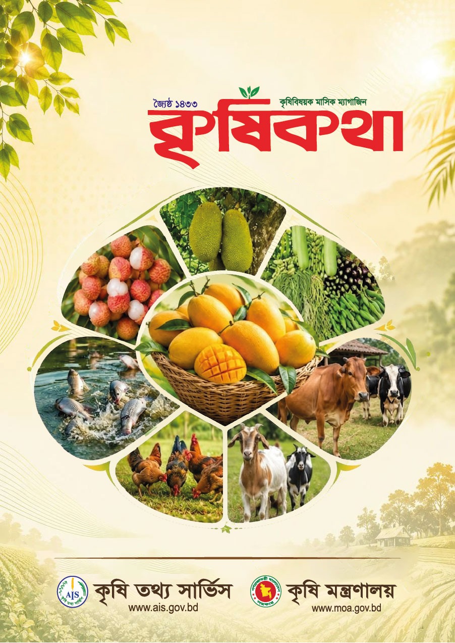 Ebook Cover