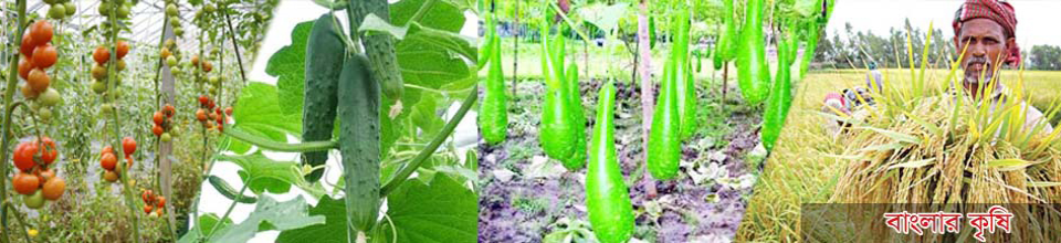 ব্যানার ২