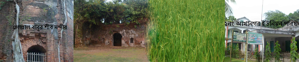ব্যানার