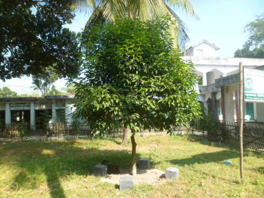 ইউনিয়ন পরিষদের 