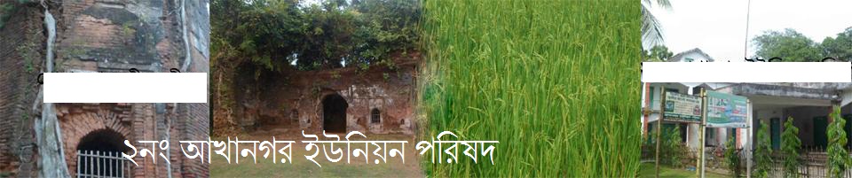 ইউনিয়ন পরিষদে ব্যানা