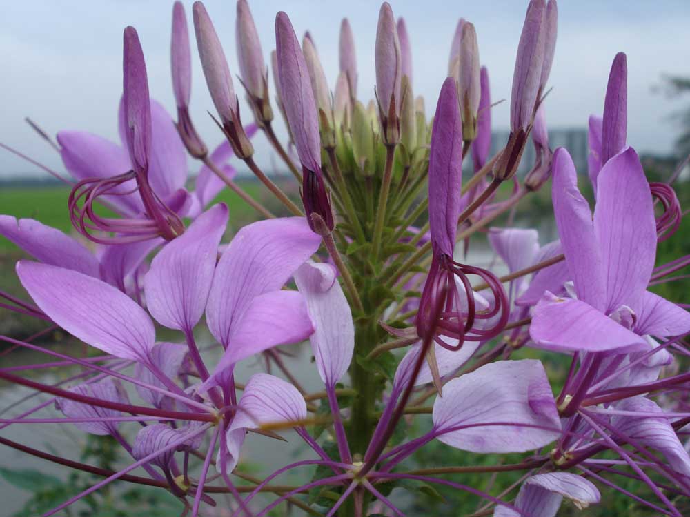 ফটো গ্যালারী
