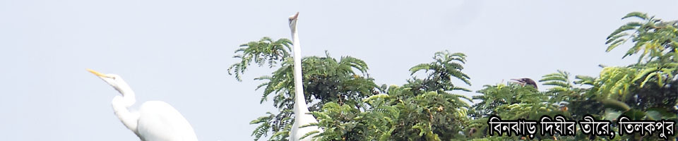 বিনঝাড় নদীর তীরে, তিলকপুর