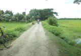 প্রকৌশল