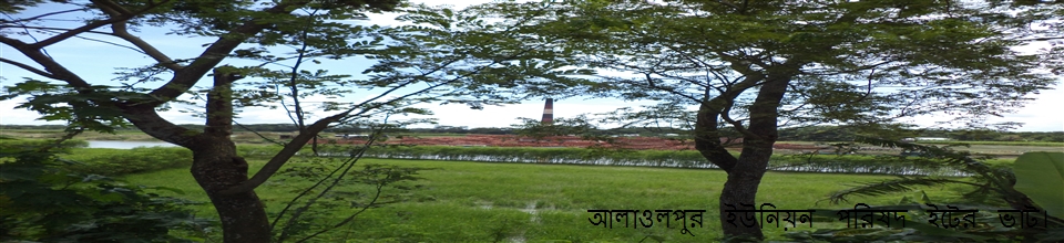 আলাওলপুর ইউনিয়ন ইটের ভাটা।