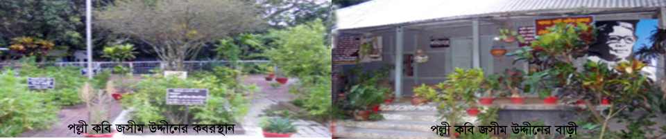 পল্লী কবি জসীম উদদীনের বাড়ী ও কবর স্থান