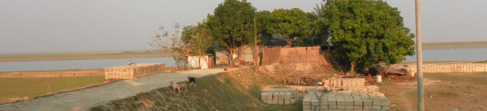 পদ্মার পাড়ে বসত বাড়ী