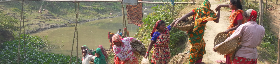 ইউনিয়নের সার্বিক উন্নয়নে নারীদের অংশ গ্রহন।