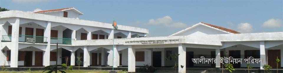 আলীনগর ইউনিয়ন পরিষদ