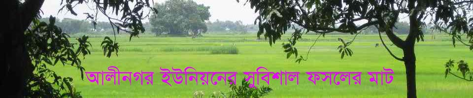 আলীনগর ইউনিয়নর ফসলের মাঠ