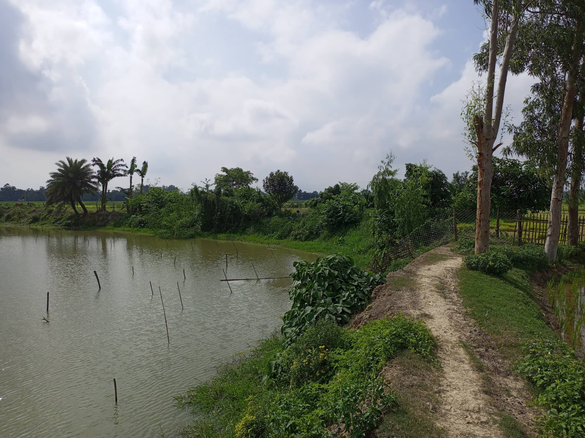 পুকুর