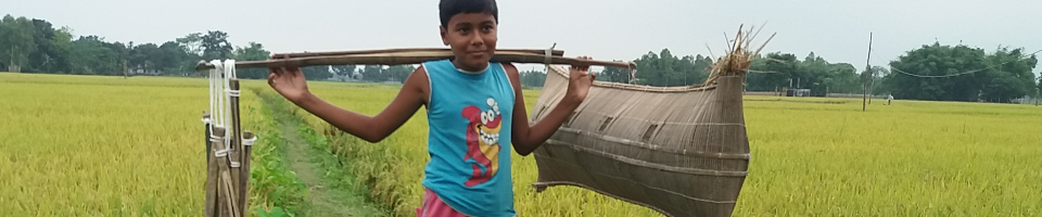 রাজবাড়ী, জয়গঞ্জ, আলোকঝাড়ী