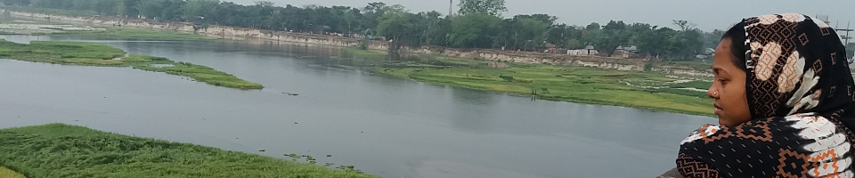 আলোকঝাড়ী