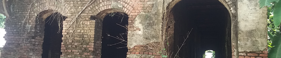 রাজবাড়ী, জয়গঞ্জ, আলোকঝাড়ী