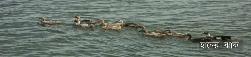 ফটো গ্যালারী 