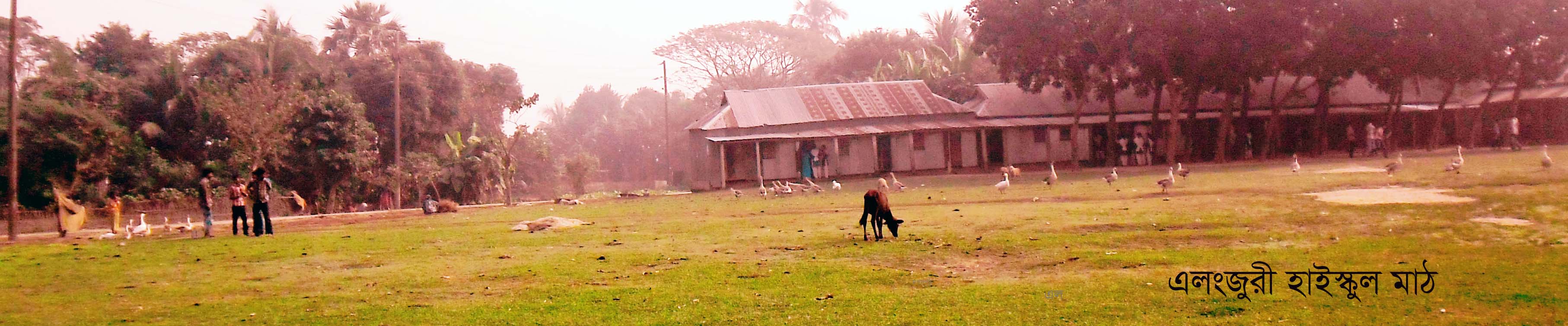 এলংজুরী হাইস্কুল মাঠ