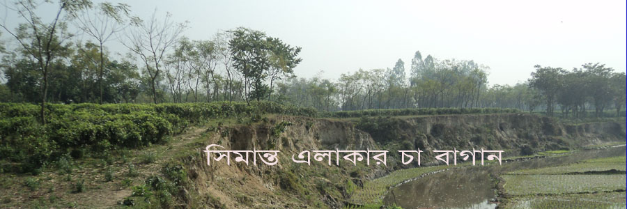 আলোয়াখোয়া ইউনিয়ন ফটো গ্যালারী