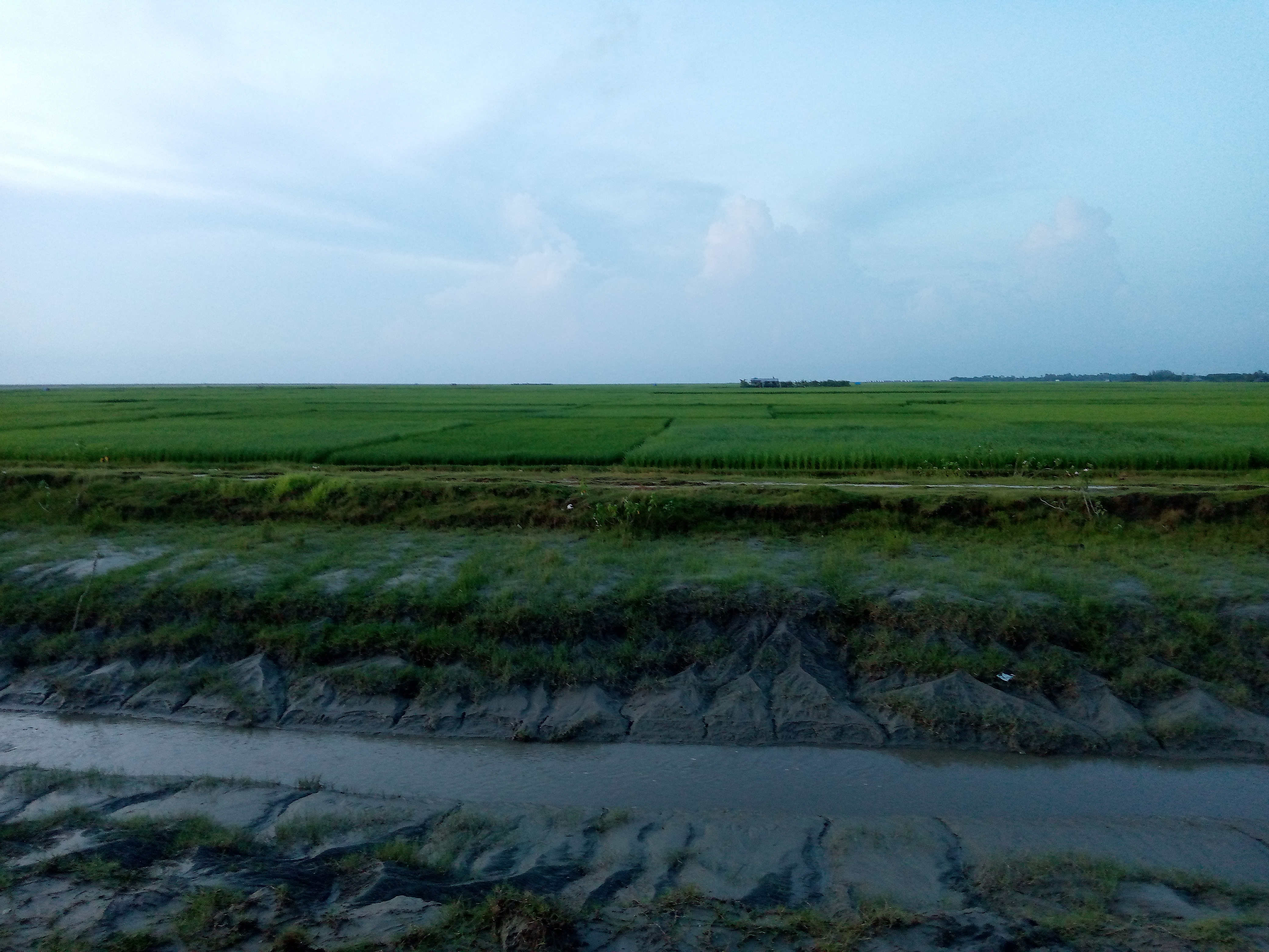 আমানউল্যা ইউনিয়ন