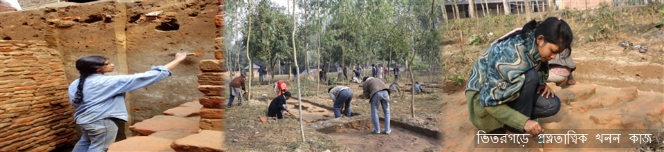 ভিতরগড় দূর্গনগরীতে প্রত্নতাত্ত্বিক খনন কাজ চলছে