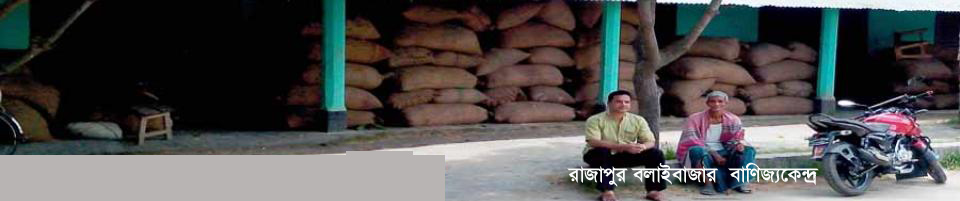 রাজাপুর বলাইবাজার ব্যবসা কেন্দ্র