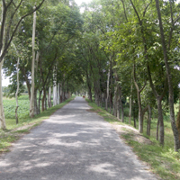 যোগাযোগ ব্যাবস্থা