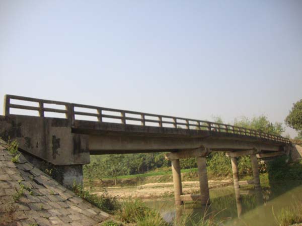 ফটোগ্যালারী