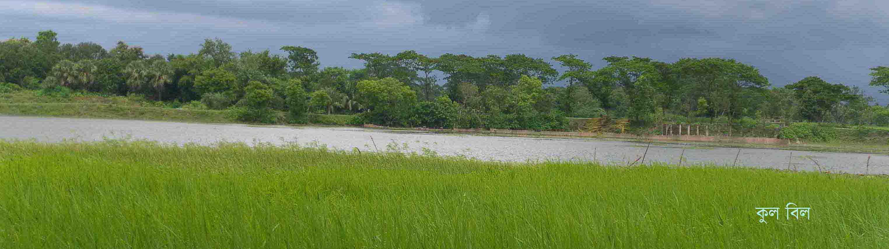 কুল বিল