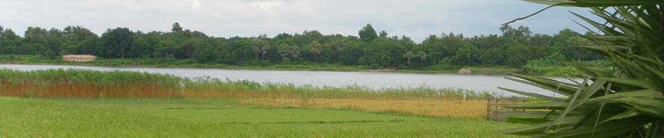 আমদহ (ধোপা বিল)