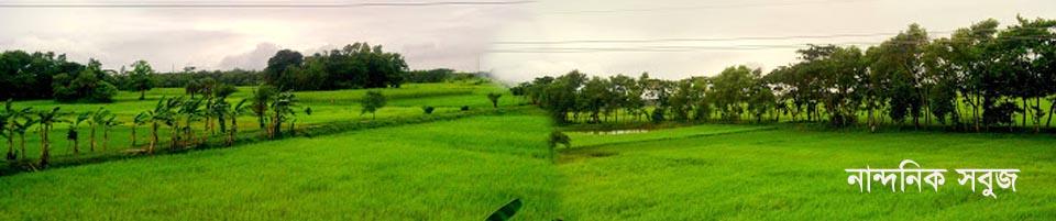 নান্দনিক সবুজ