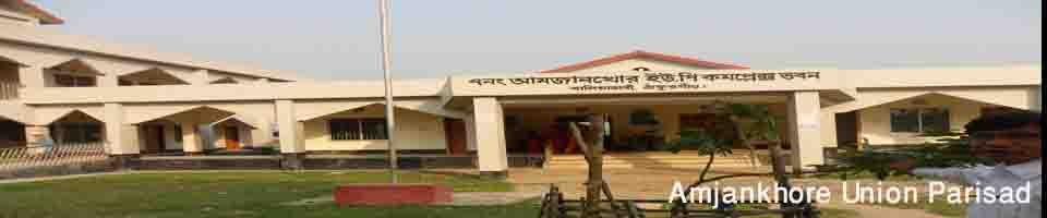 আমজানখোর ইউনিয়ন কমপ্লেক্স ভবন বালিয়াডাঙ্গী, ঠাকুরগাঁও।